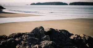 택시운전사 줄거리 결말 출연진 총정리 — 5.18 광주 실화 송강호 감동 영화